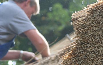 professional Horfield thatchers